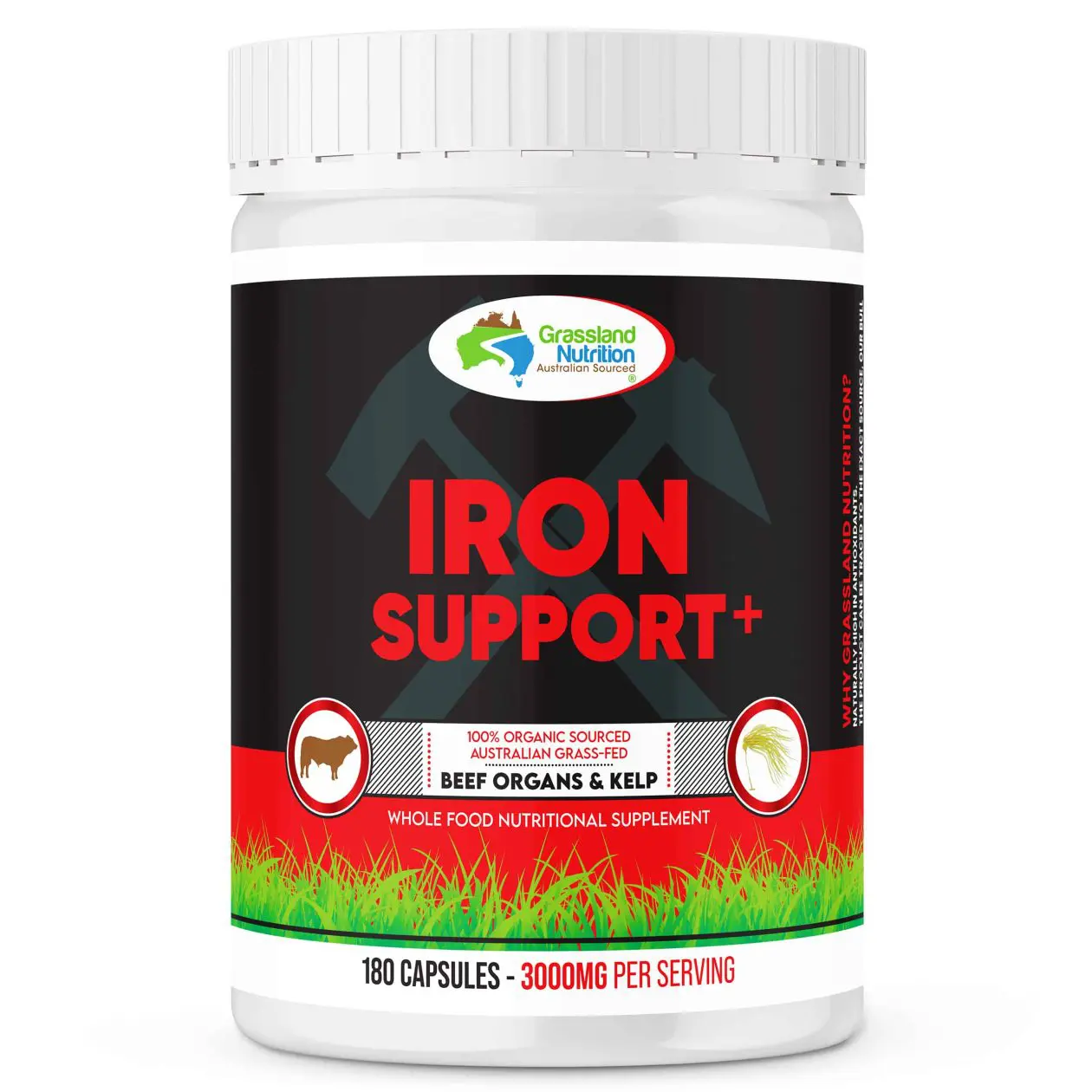 Iron Support+ Nutritional Supplement Capsules