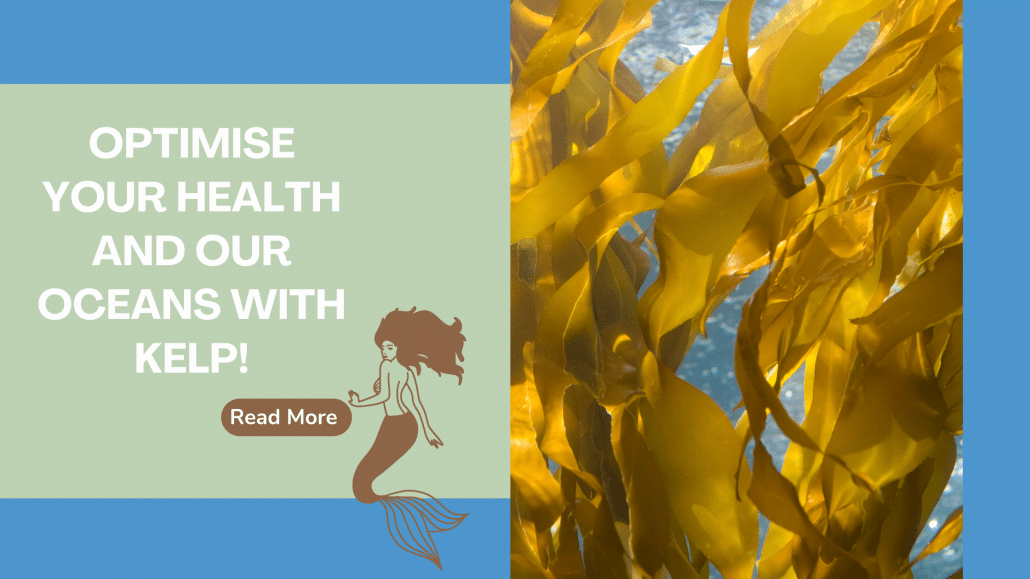 Optimise your Health and our Oceans with Kelp!