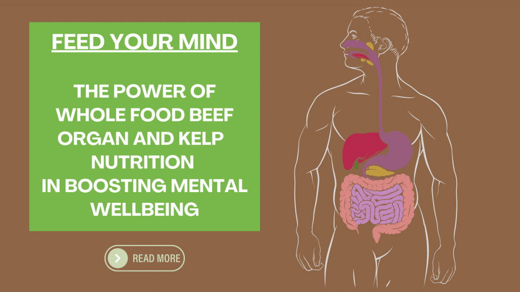 Feed Your Mind The Power of Whole Food beef organ and kelp Nutrition in Boosting Mental Wellbeing