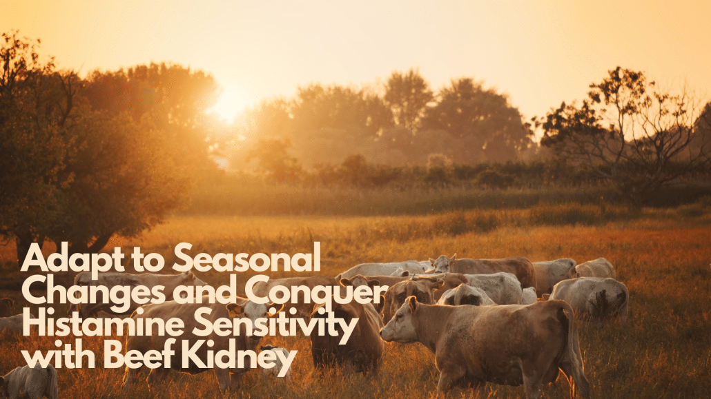 Adapt to Seasonal Changes and Conquer Histamine Sensitivity with Beef Kidney