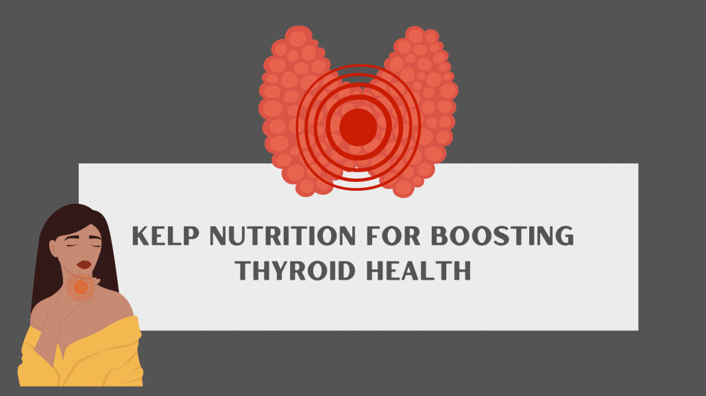 Kelp Nutrition for Boosting Thyroid Health