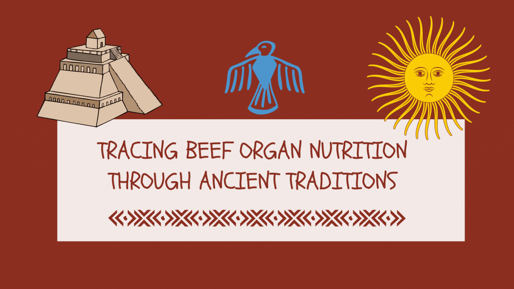 Tracing Beef Organ Nutrition Through Ancient Traditions