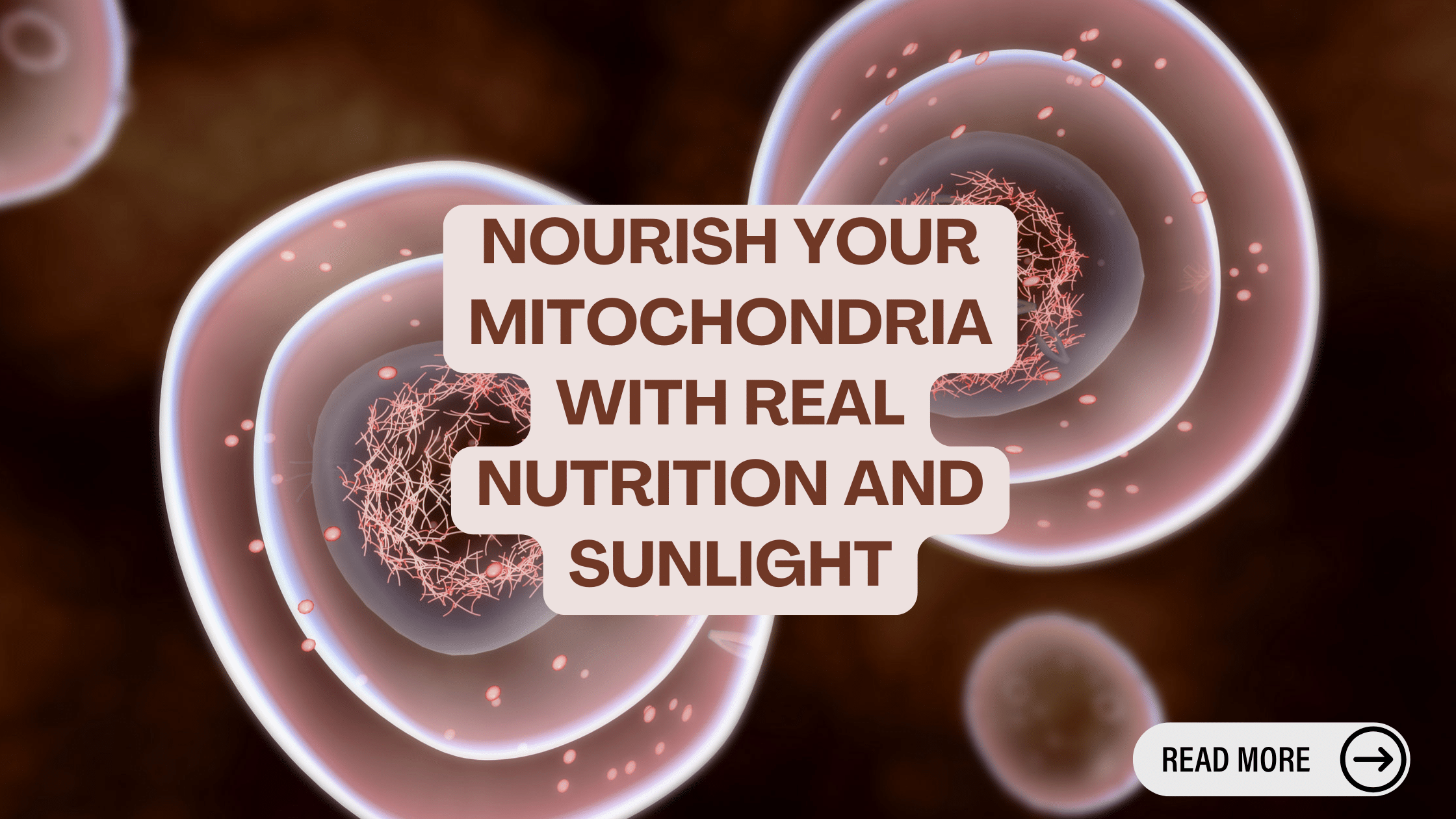 A close up microscopic image of mitochondria