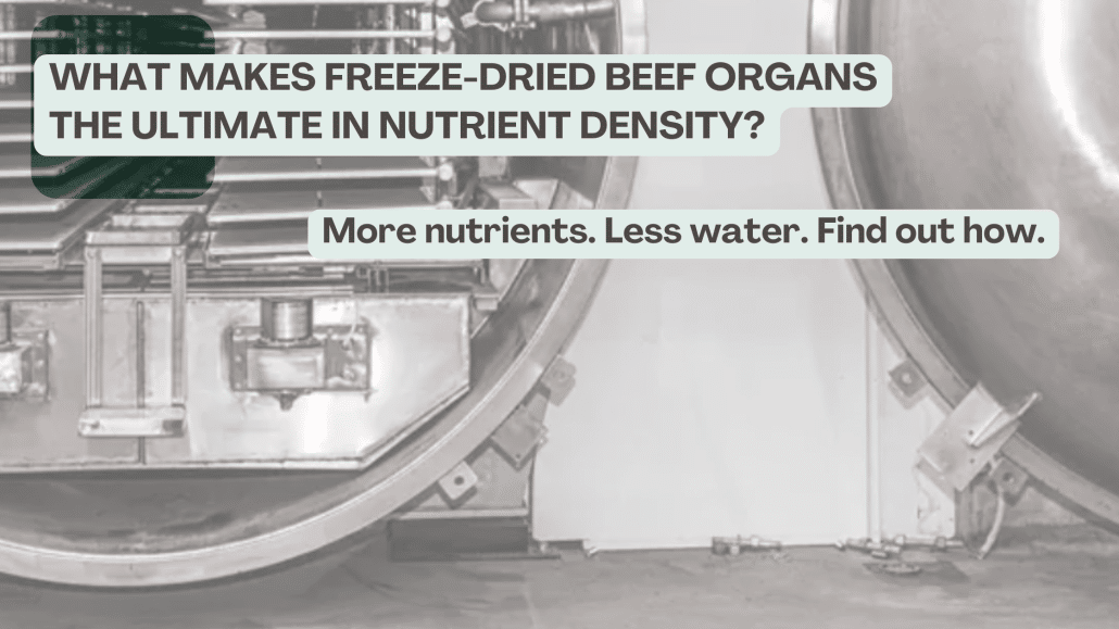 a large metal freeze drying machine with a round door.